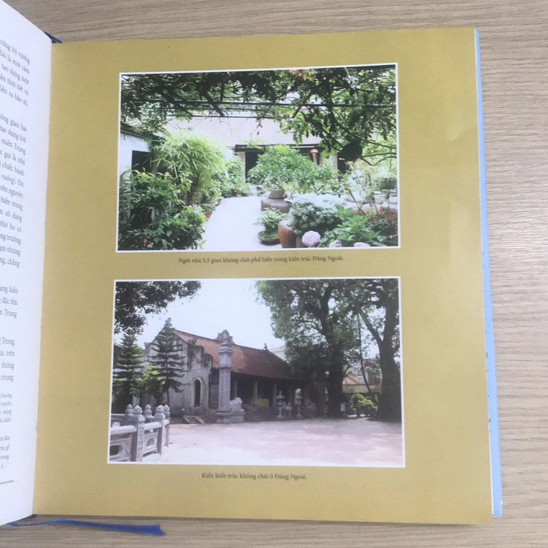 Mỹ thuật Nguyễn 484387