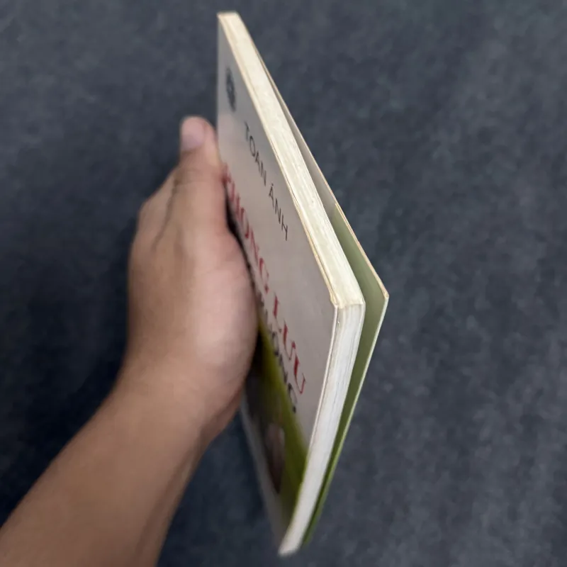 Phong lưu đồng ruộng - Toan Ánh 1002221