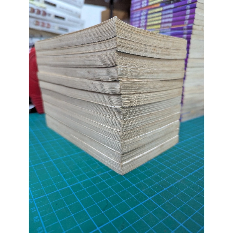 TRUYỆN TRANH ROUGH NGỌC THÔ (12/12) 271842