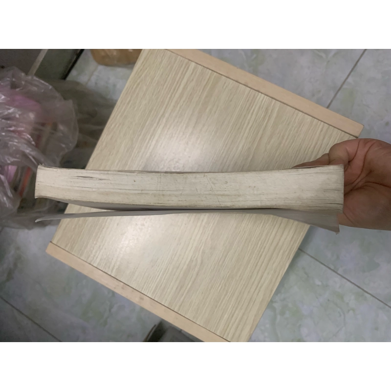 Sách Lịch sử thế giới hiện đại 533548