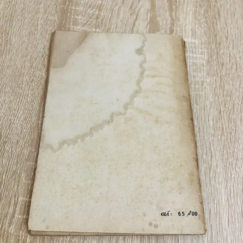 ĐỊA LÝ THÀNH PHỐ HỒ CHÍ MINH  928991