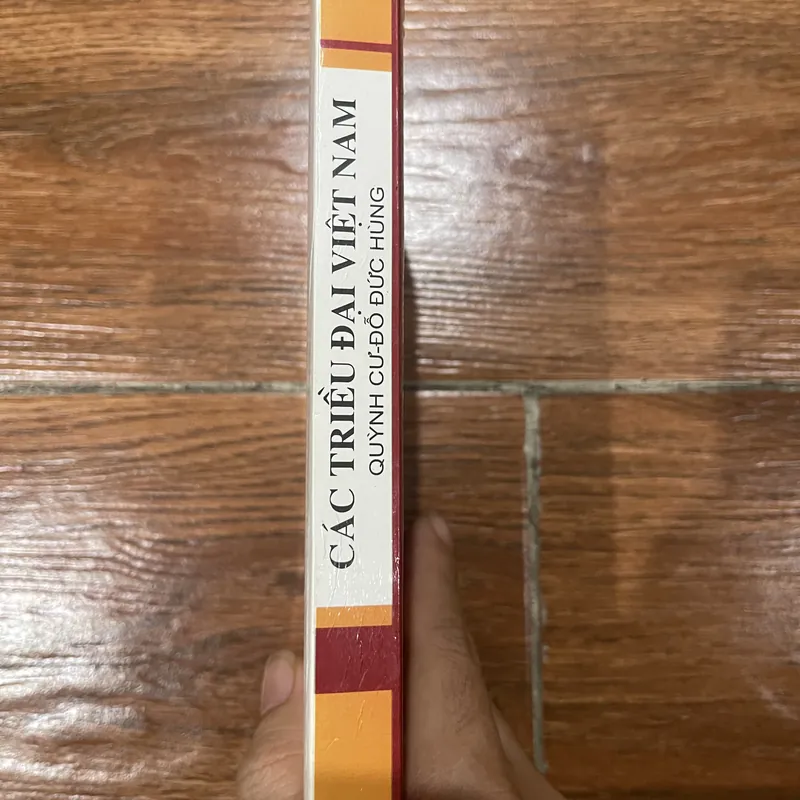 Các triều đại Việt Nam  (9) 697819