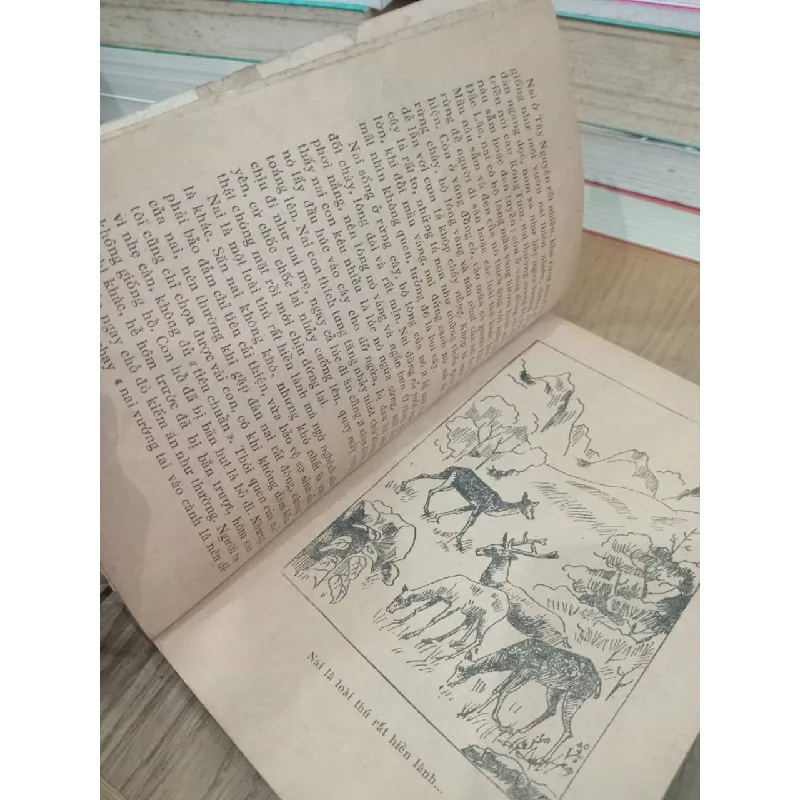 Thú rừng tây nguyên - Thiên Lương 496488