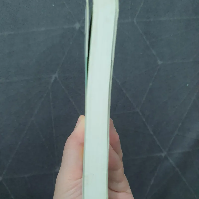 "Mashenka" - Vladimir Nabokov (Thiên Lương dịch) 751978