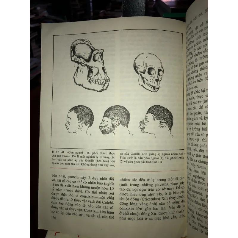 Những tiên đề của sinh học - B.M. Međnikov 798776