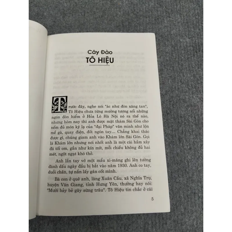 CÂY ĐÀO TÔ HIỆU - VIẾT LINH 990645