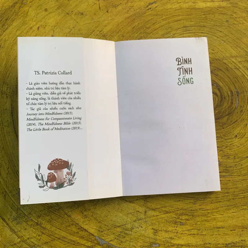 COMBO BÌNH TĨNH SỐNG & ĐIỀU DIỆU KỲ TỪ CÁCH NHÌN CUỘC SỐNG 790780