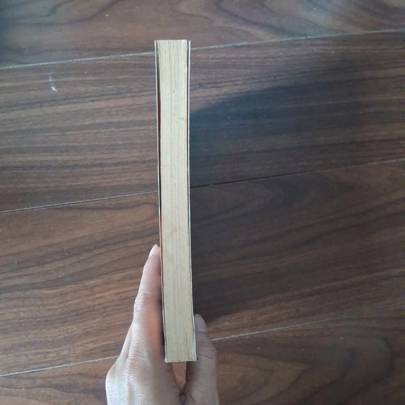 Bức tượng bí hiểm 524633