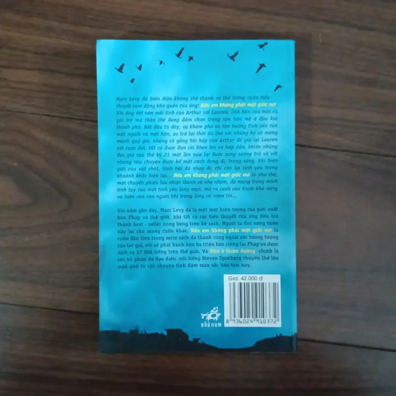 Nếu em không phải một giấc mơ 928904