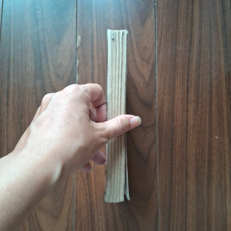 Mệnh giời bắt thế 503374