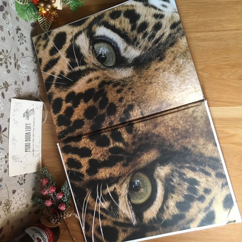 Sách tranh tiếng anh Wild About Fierce Creatures, Used, Bìa cứng 476862