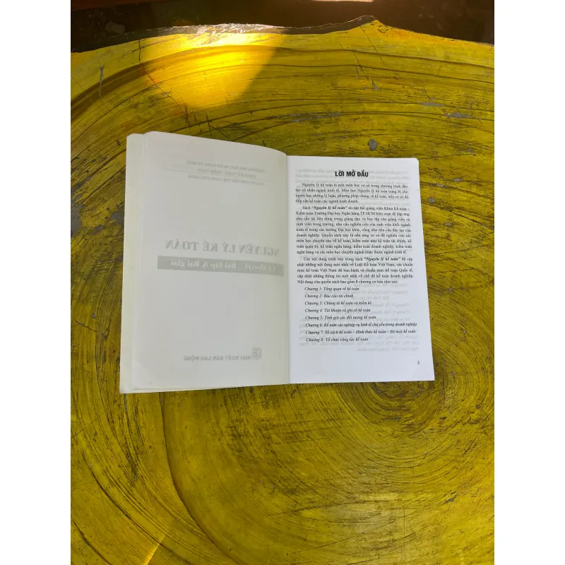 NGUYÊN LÝ KẾ TOÁN- LÝ THUYẾT- BÀI TẬP- BÀI GIẢI- PGS.TS. NGUYỄN THỊ LOAN CHỦ BIÊN 729117