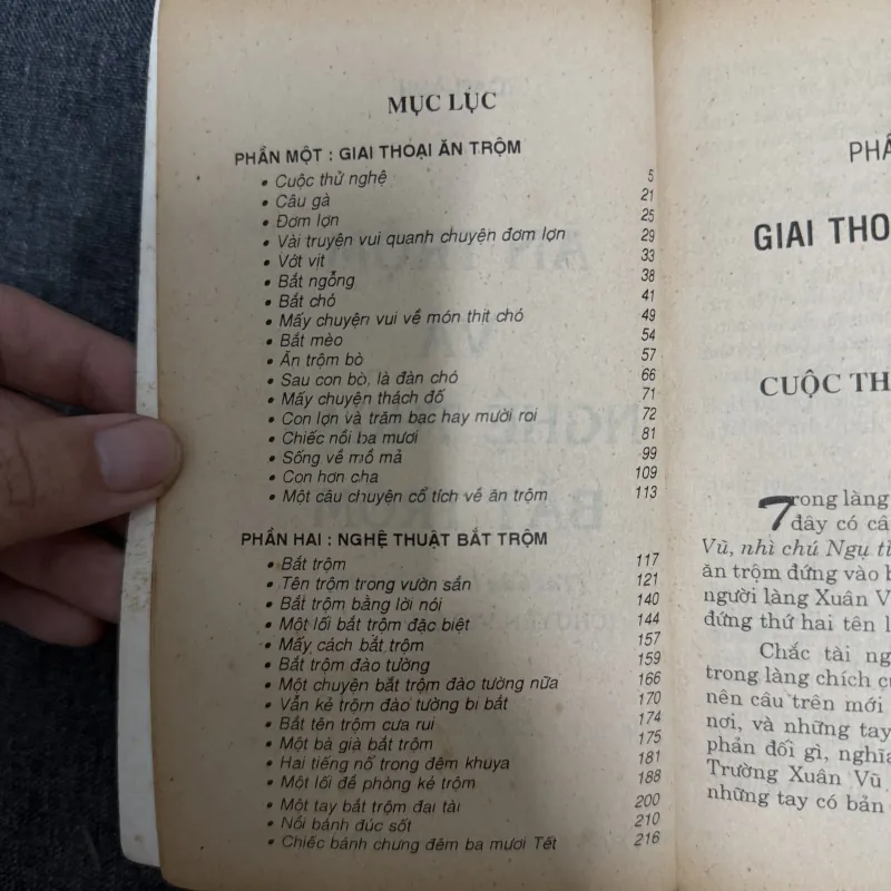 Ăn trộm và nghệ thuật bắt trộm - Toan Ánh 929732