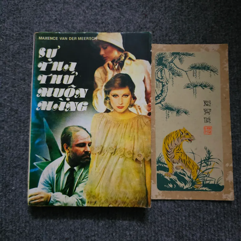 Sự tha thứ muộn màng - Maxence Van der Meersch 733977