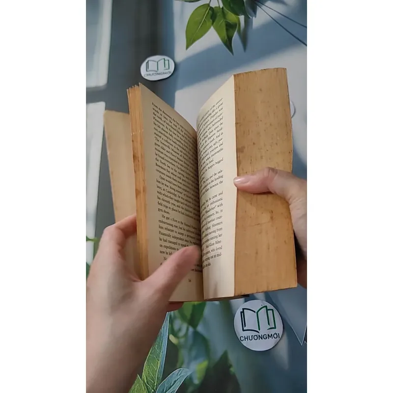 [MIỄN PHÍ BỌC SÁCH] The Morning Gift - Eva Ibbotson 1033594