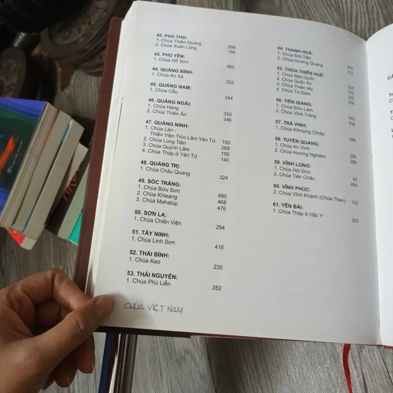 Chùa Việt Nam - Hà Văn Tấn 1025383