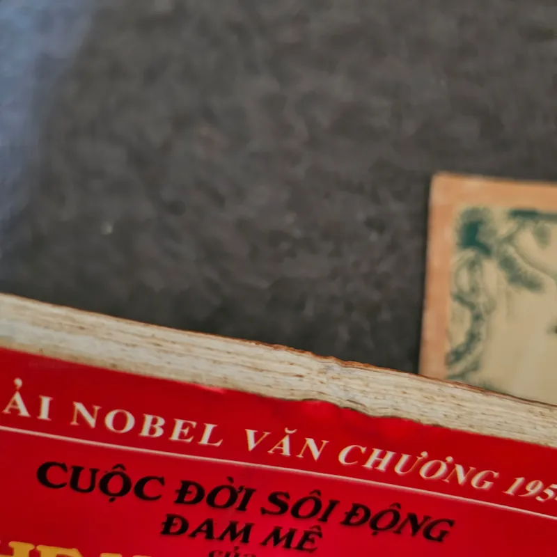 Cuộc đời sôi động và đam mê của Hemingway 736232