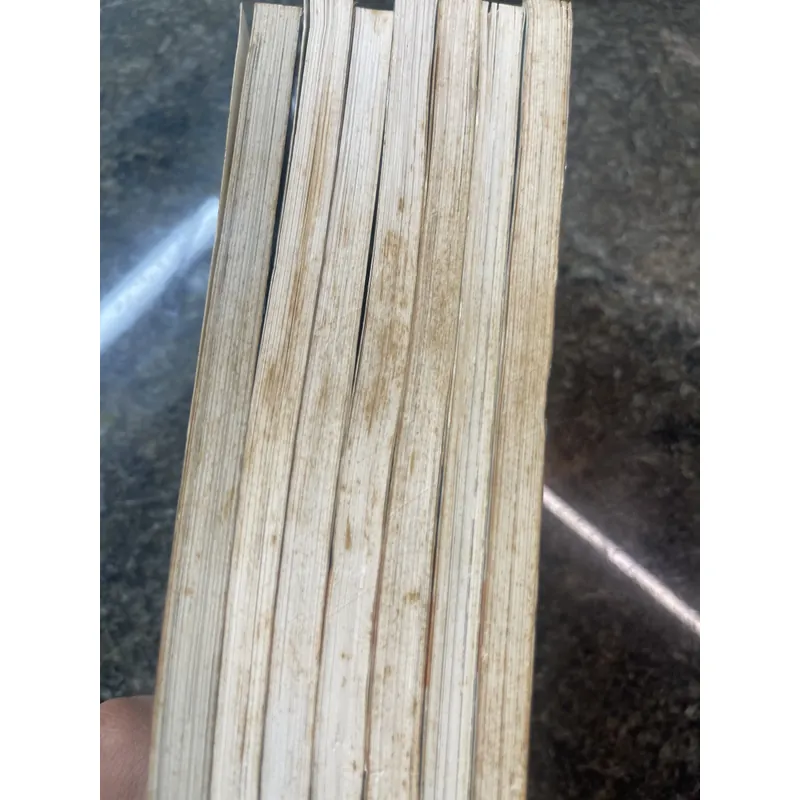 Truyện 07-Ghost Yuhi Amemiya 7 tập 607453