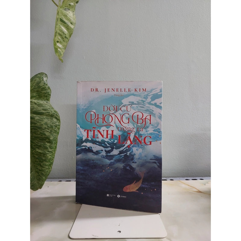 ĐỜI CỨ PHONG BA TRONG TA TĨNH LẶNG 529974
