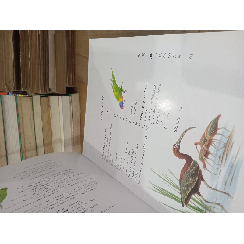 Birds of Asia & Australia: an Illustrated Encyclopedia and Birdwatching Guide - David Alderton 791707