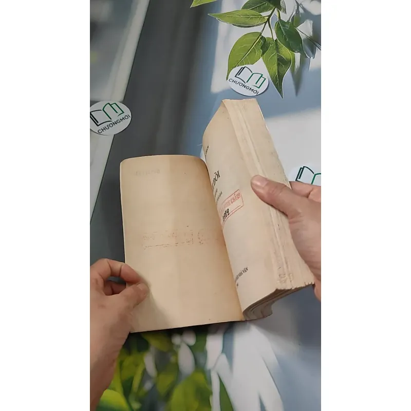 [XƯA] Đỉnh Đồi (1994) - Irwin Shaw 776066