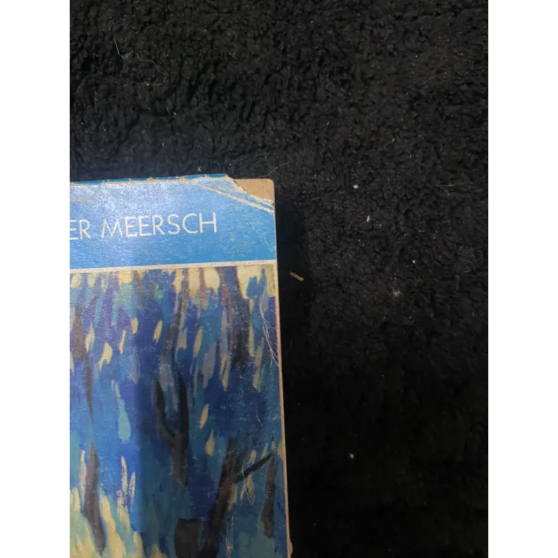 Thể xác và Tâm hồn- Maxence Van der Meersch. 1042335