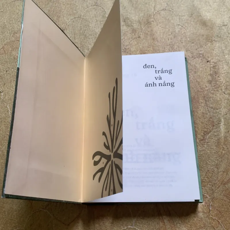 ĐEN, TRẮNG VÀ ÁNH NẮNG - nam quang tử 796708