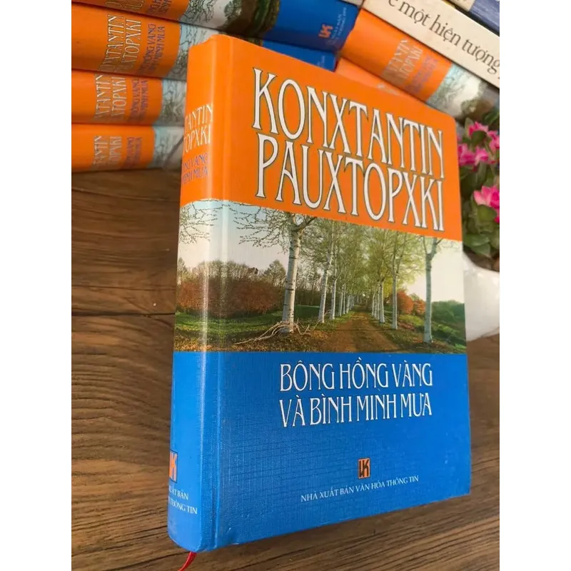 Bông Hồng vàng - Bình minh mưa - 700 trang, bìa cứng  714900