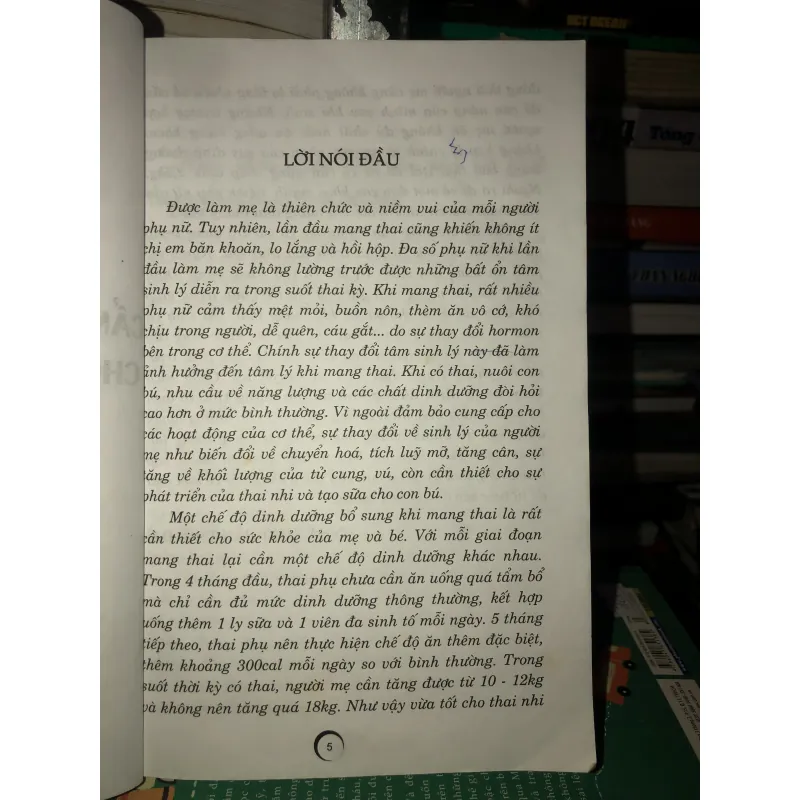 Cẩm nang dinh dưỡng cho bà mẹ mang thai - Song Linh 936744