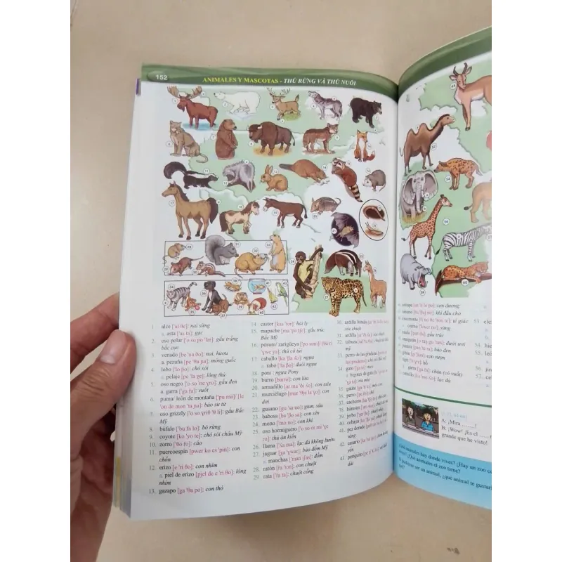 Nâng cao vốn từ vựng tiếng Tây Ban Nha theo chủ đề bằng hình ảnh 696780