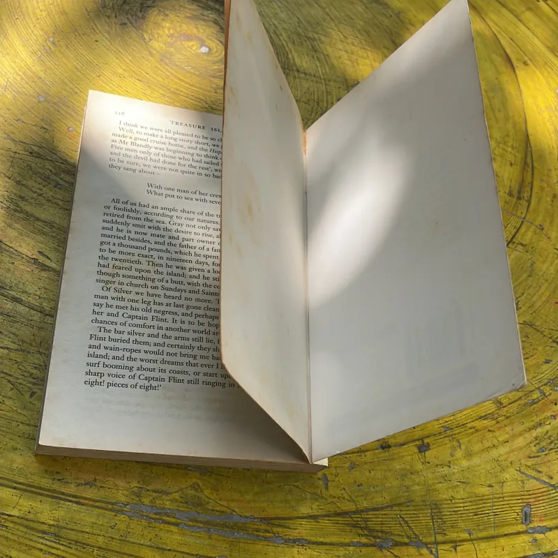 TREASURE ISLAND - ROBERT LOUIS STEVENSON 763428