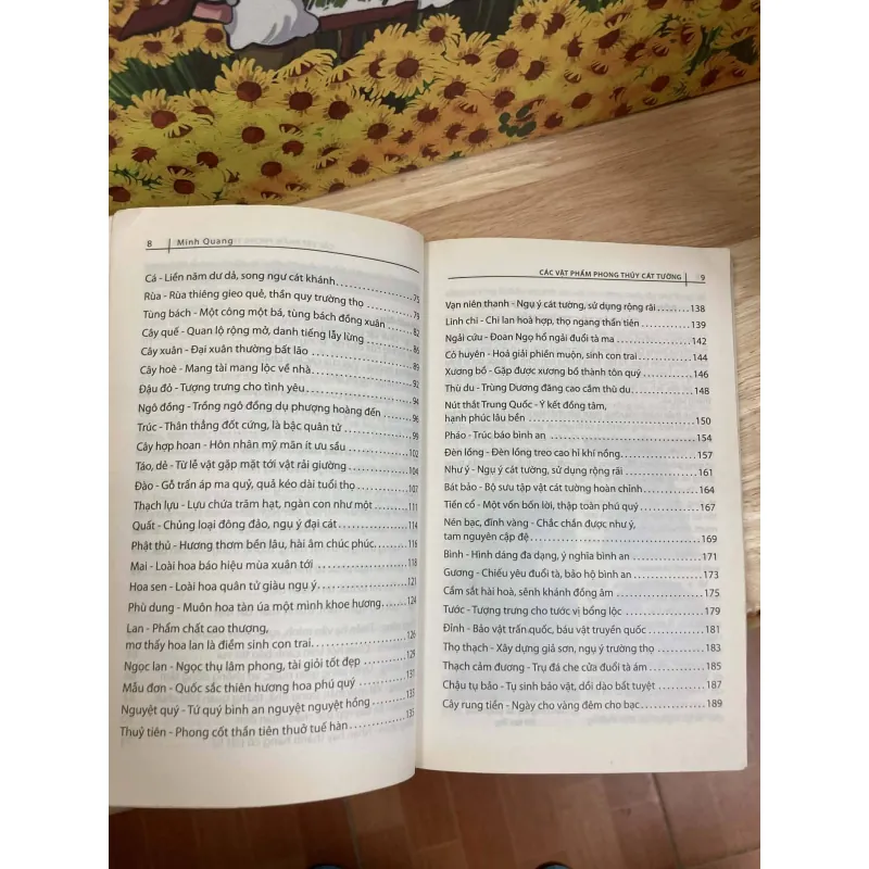 Các Vật Phẩm Phong Thủy Cát Tường 974711