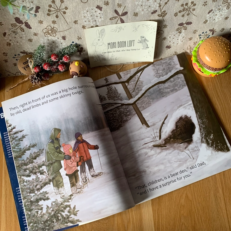Sách tranh Baby Bear's Adoption, Used, Picture Book For Kids 442997