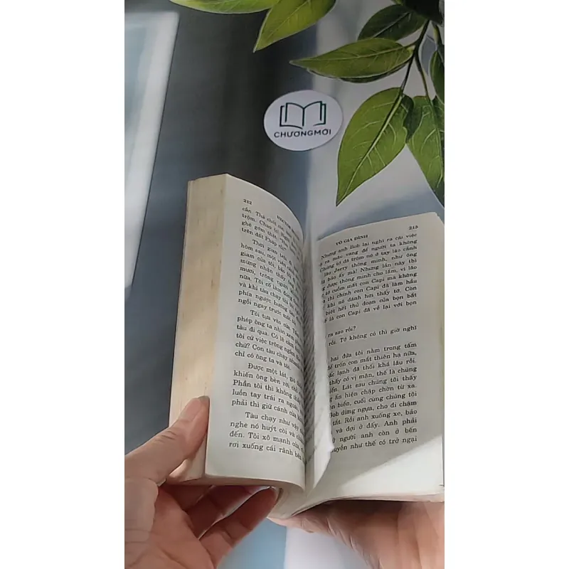 Vô Gia Đình (2001) - Hector Malot 607676