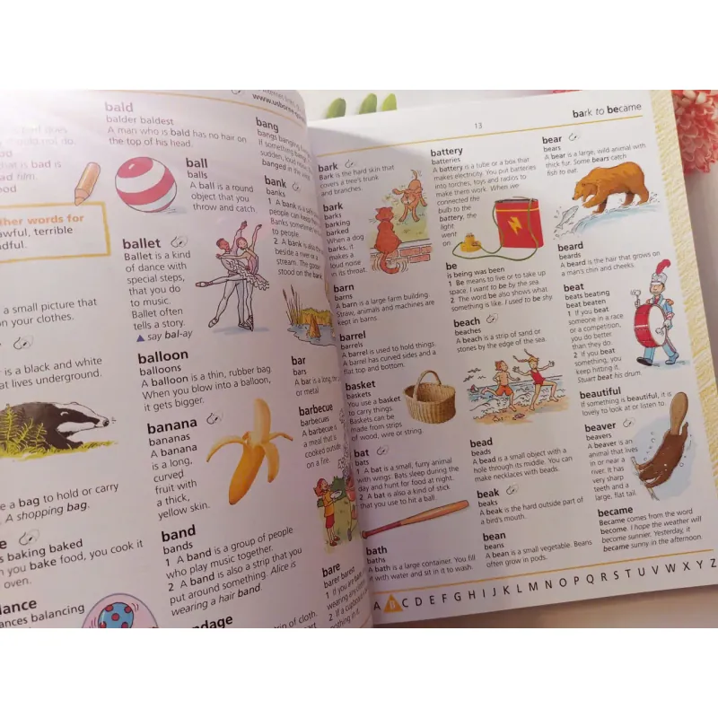 The Usborne First English Dictionary 993535