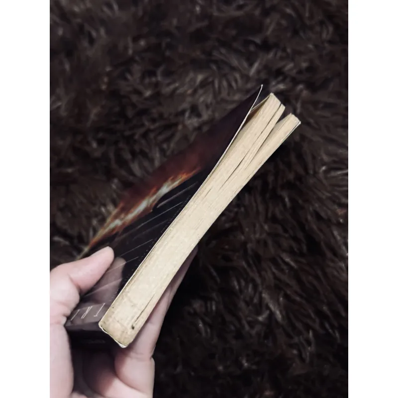 Truyện ngắn Bảo Ninh 738149