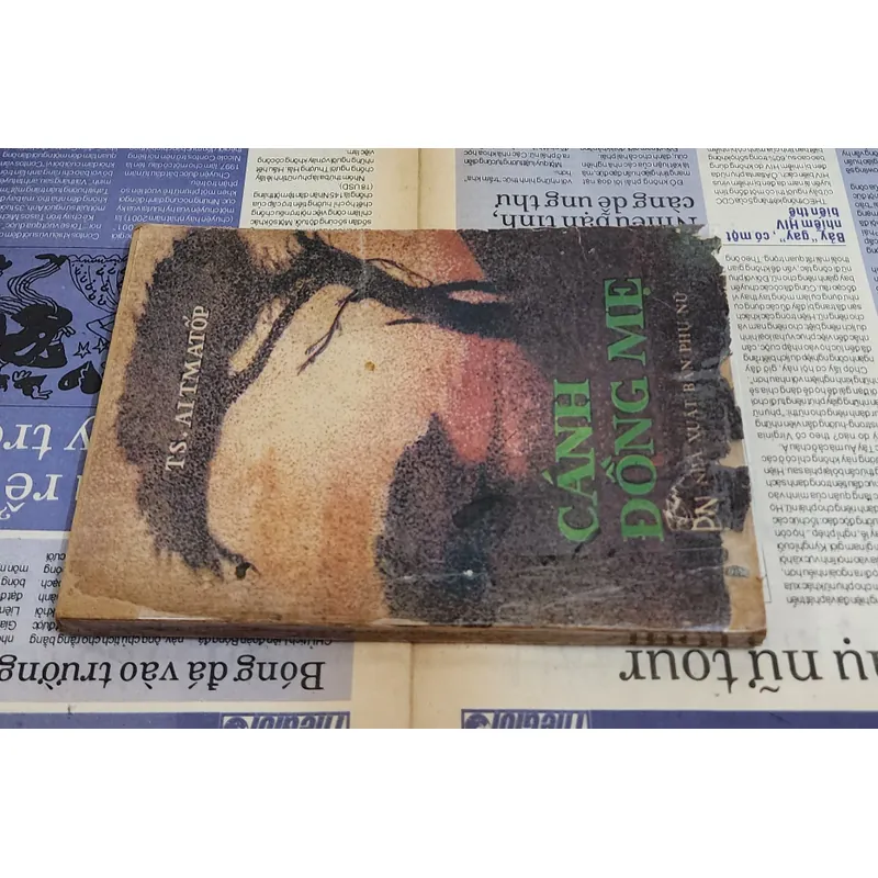 Truyện CÁNH ĐỒNG MẸ, nhà văn Chyngyz Torekulovich Aitmatov 706222