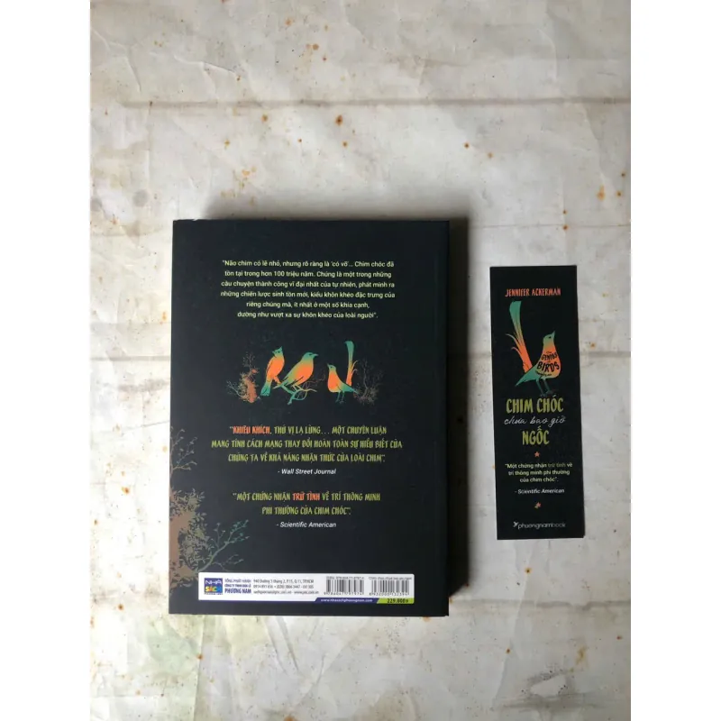 Chim Chóc Chưa Bao Giờ Ngốc | Jennifer Ackerman 800730