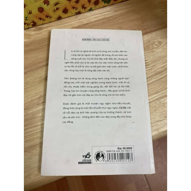 Cá Hồi - Ahn Do-hyun 1010699