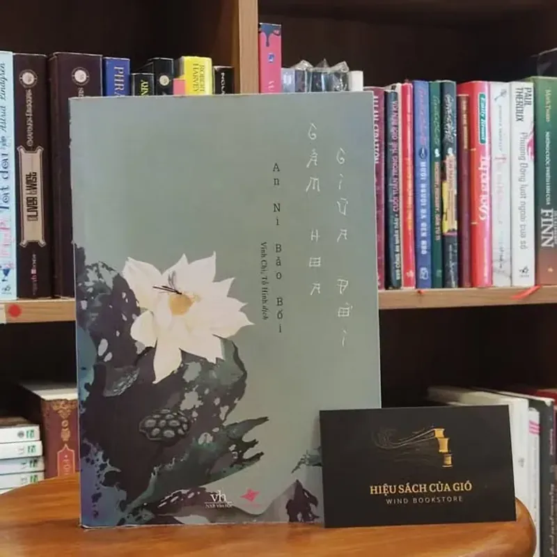 Gấm hoa giữa đời - An Ni Bảo Bối 747151