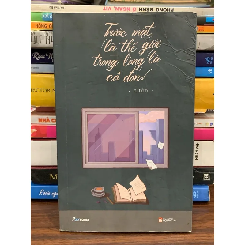 Trước mặt là thế giới, trong lòng là cô đơn – A Tồn 571556