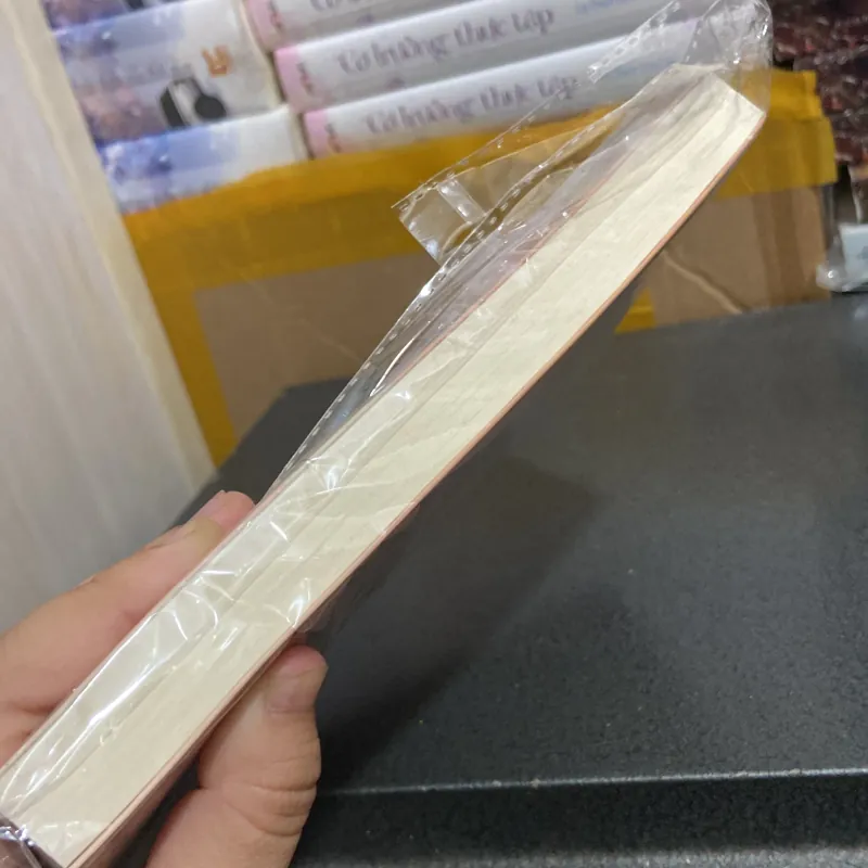 (Văn học kinh điển) - Lá Thư - Richard Paul Evans 976273