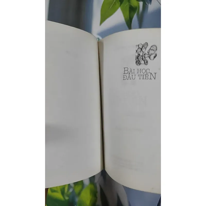 Bài học đầu tiên - Trần Thị Hồng Hạnh 798504