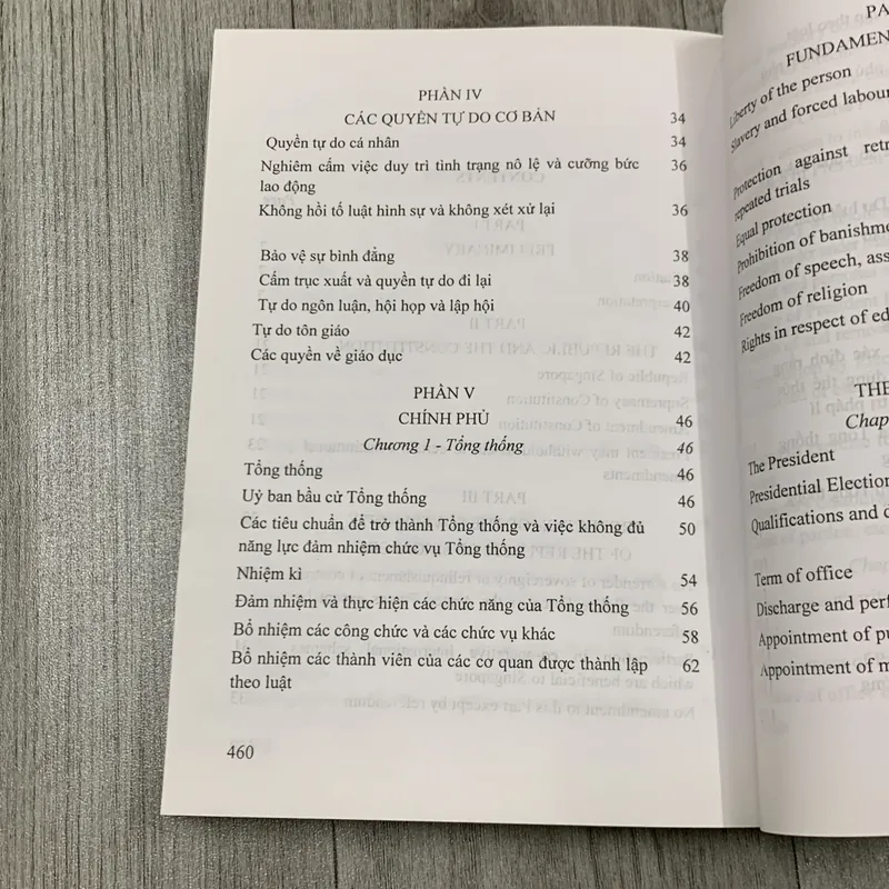 Hiến pháp cộng hoà singapore. 3a3 718588