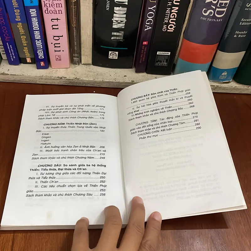 II Luận Án Tiến Sĩ: Lịch Sử Phát Triển Của Thiền Phật Giáo - Nguyên Hương - 2005 558231