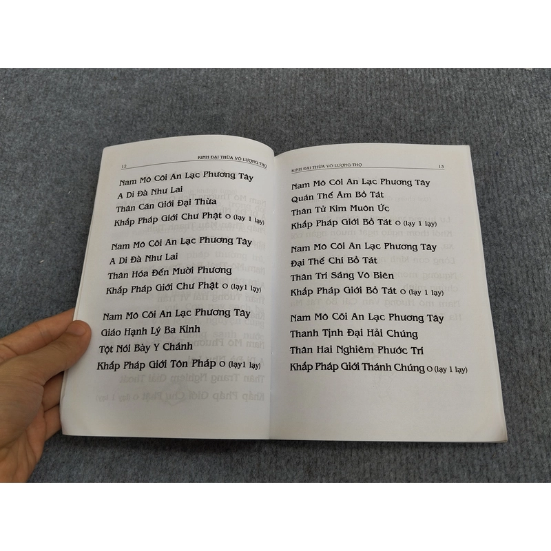 PHẬT THUYẾT ĐẠI THỪA VÔ LƯỢNG THỌ TRANG NGHIÊM THANH TỊNH BÌNH ĐẲNG GIÁC KINH 494697