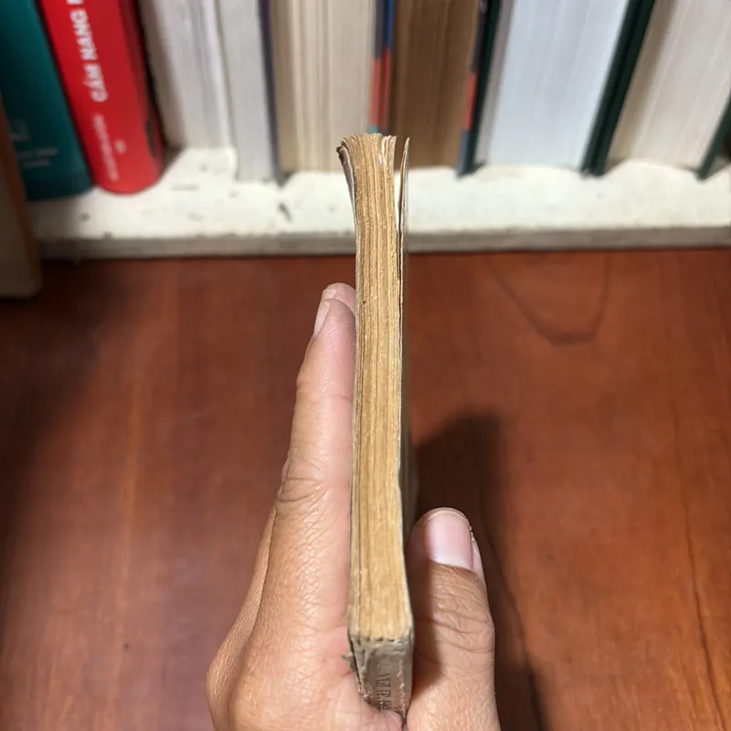 II Cổ Nhân: Mạnh Tử - Nguyễn Hiến Lê - 1993 720802