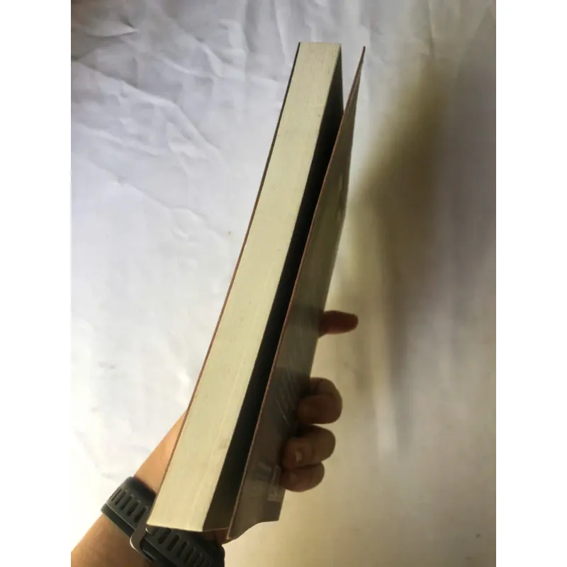 Khách Sạn Ba Đoá Hồng - Augusto De Angelis 1002715