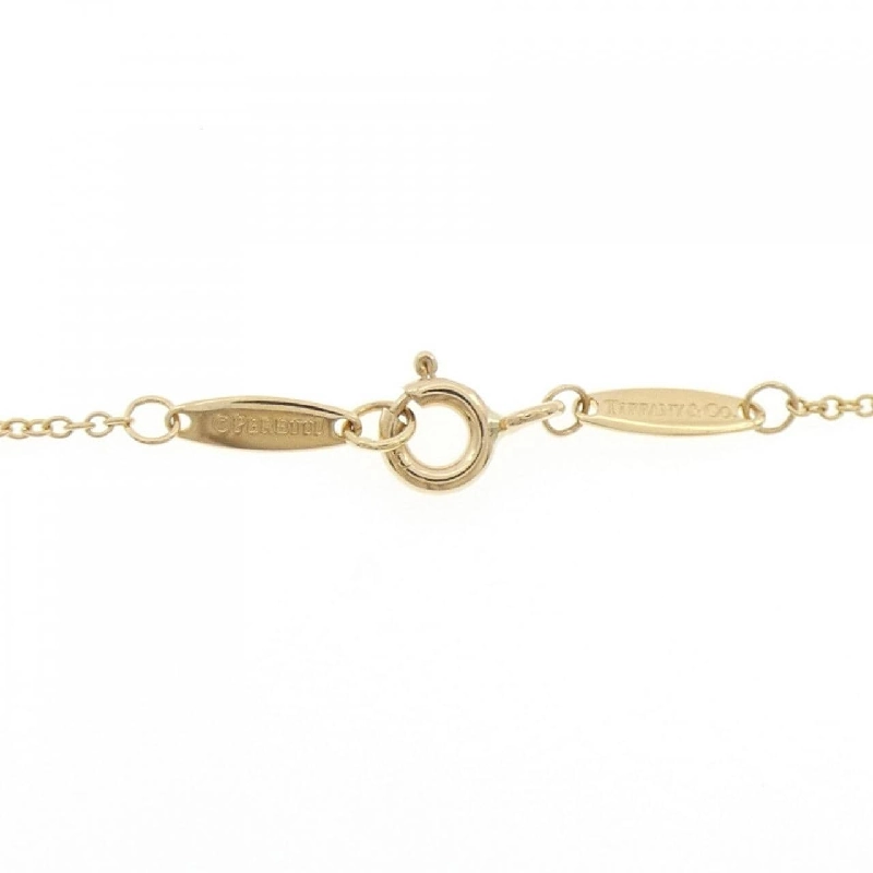 Dây chuyền Tiffany By The Yard - Hàng hiệu Authentic 842934