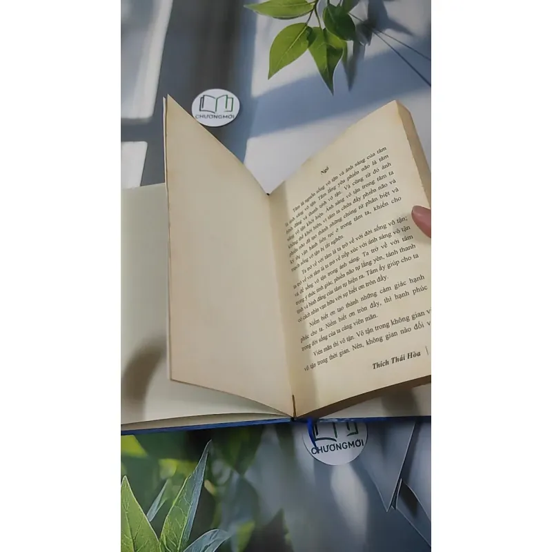 Nguồn Sáng Vô Tận - Thích Thái Hòa 990452